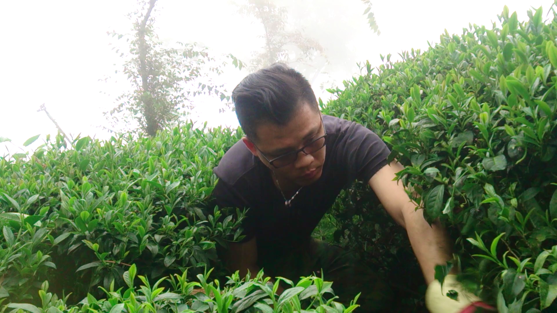 劉松杰除了努力行銷茶產業，也致力於推廣南投的優質農產品。(圖片提供／劉松杰)