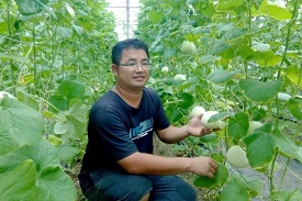 青農楊景翔種植的美濃瓜，預計雙十佳節前採收，成為最棒伴手禮。