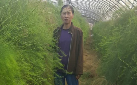 陳秋綺希望從家中田地開始，讓六腳的蘆筍產業慢慢回來。（圖片提供／陳秋綺）