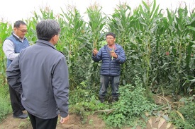 盧傳期先生為眾人講述他種植的玉米筍品種及銷售經驗