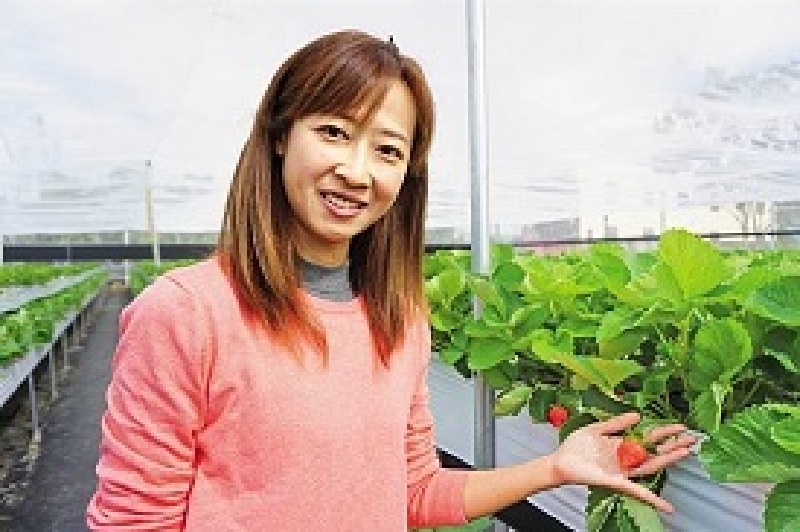 科技美女返鄉種草莓 獲選百大青農