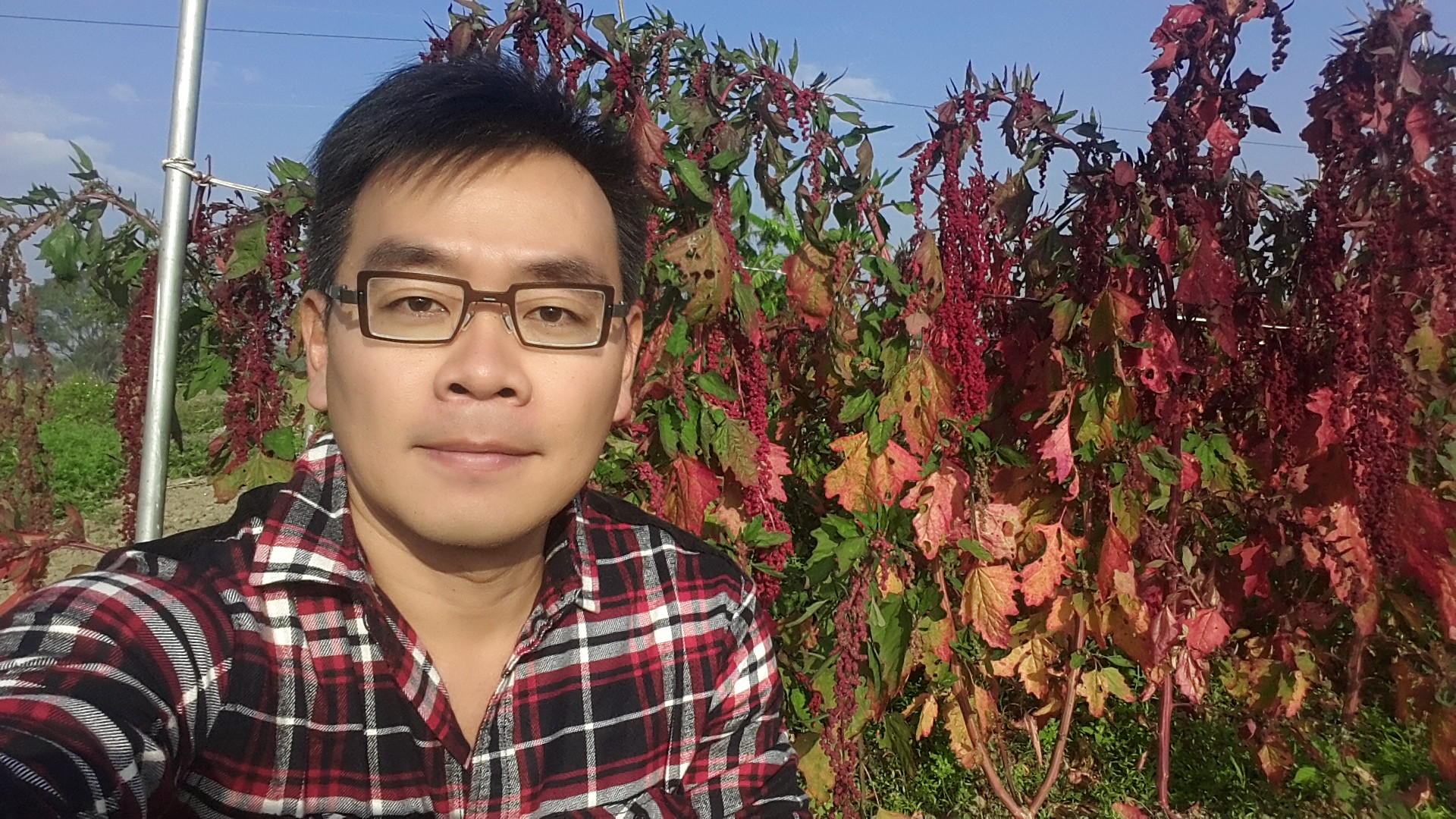 台南青農林健祐與種植的紅藜合照