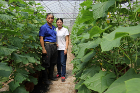 蕭志欣與余玫燕夫妻倆堅持生產安全安心的高品質有機農產品